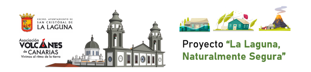 Proyecto 
